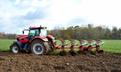 SUKOV DOWNHIL 4+1 Eke